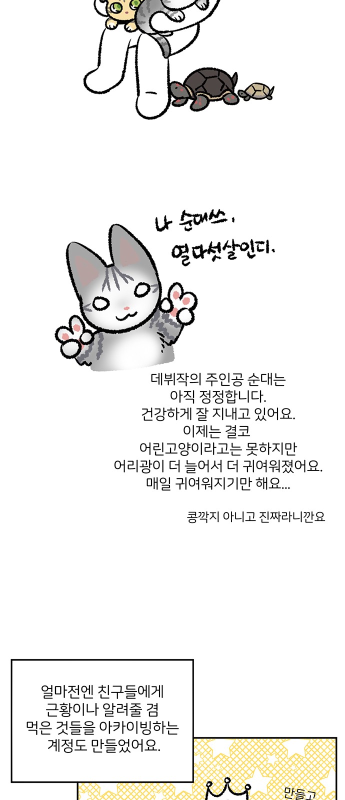 11 페이지