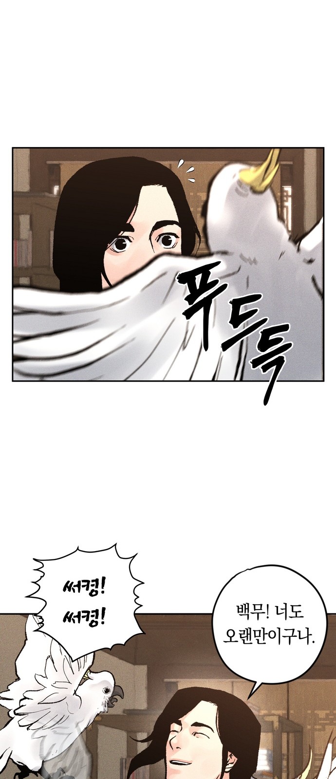 44 페이지
