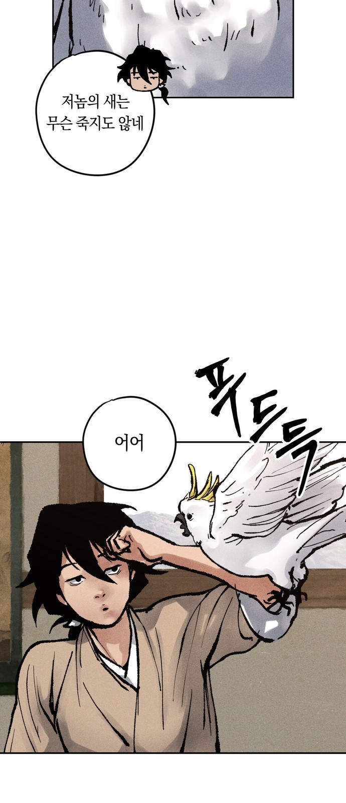50 페이지