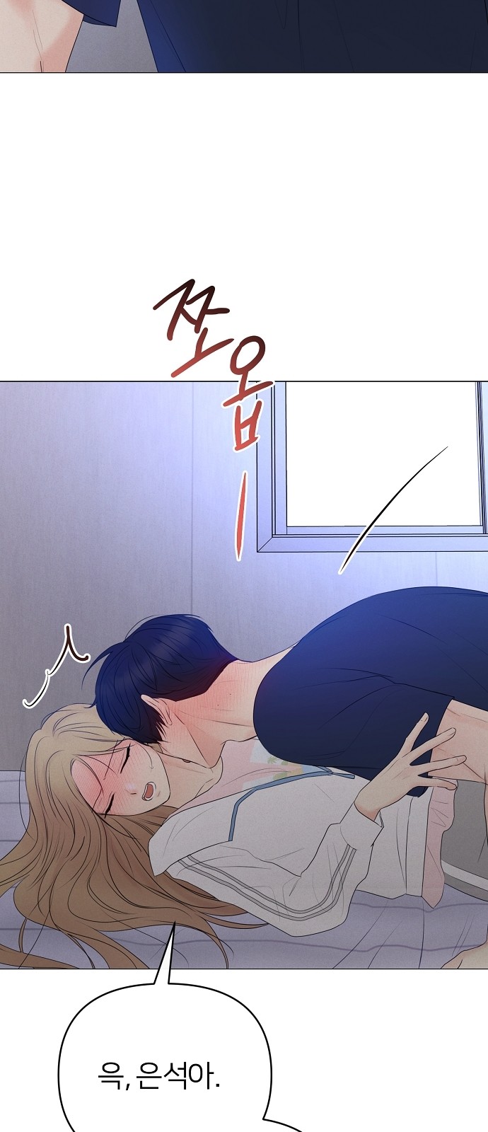 41 페이지
