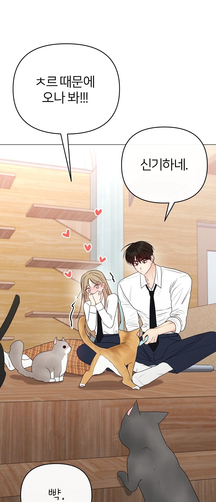 71 페이지