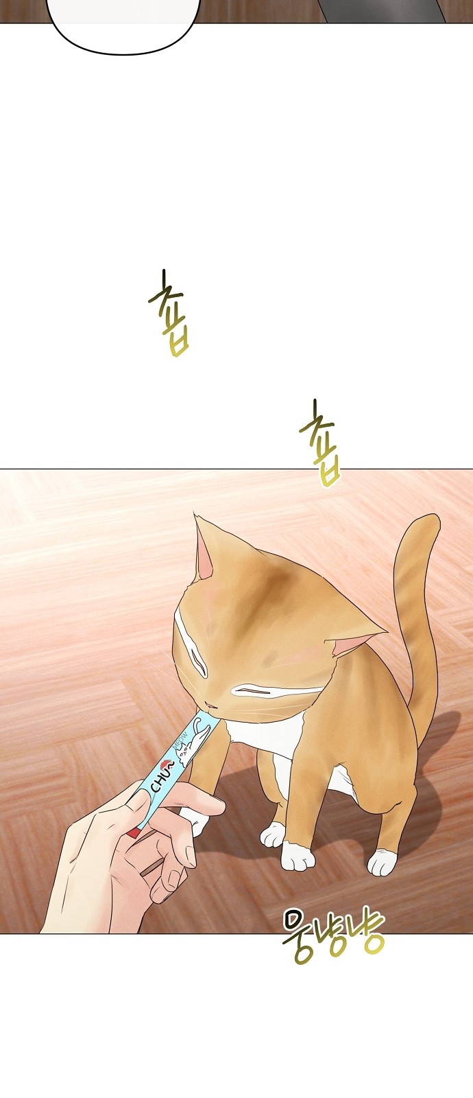 72 페이지