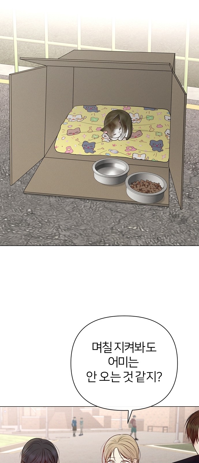 46 페이지