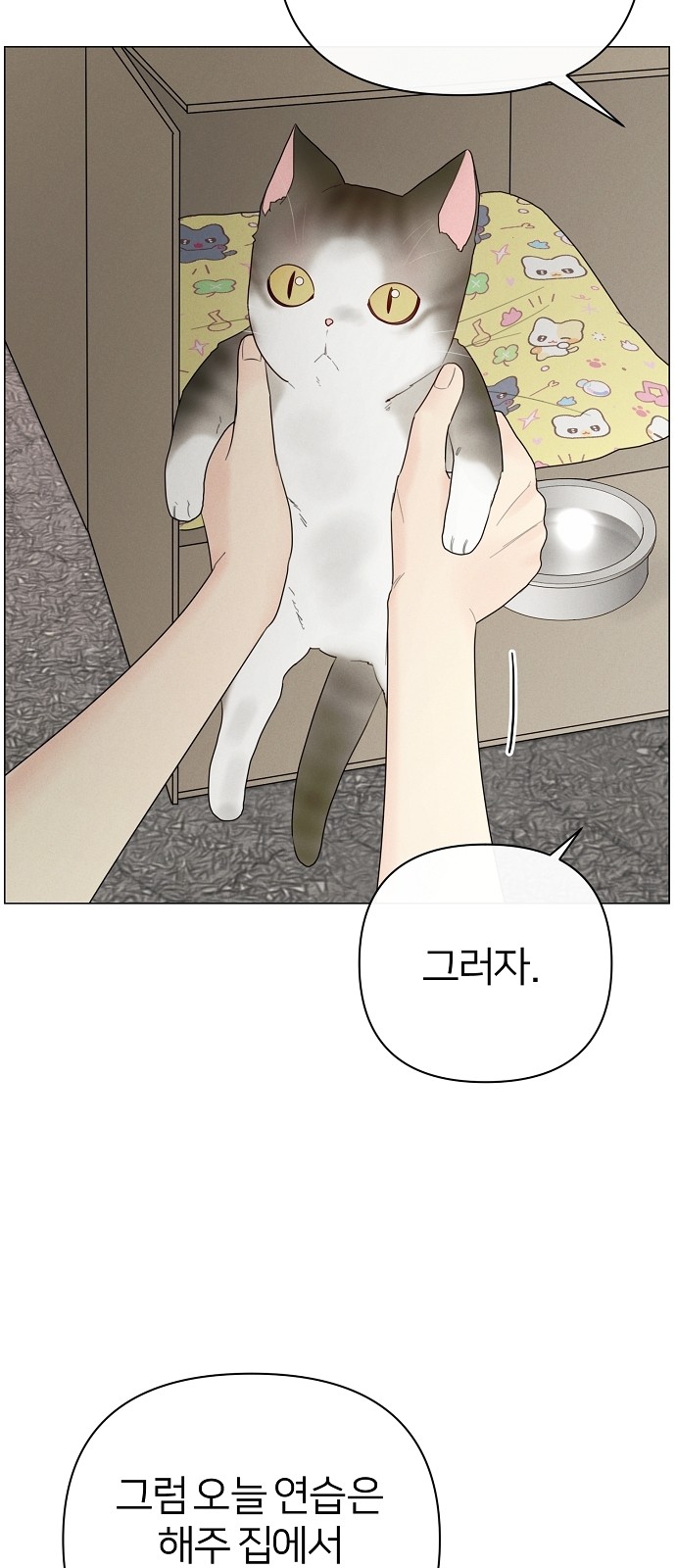 52 페이지