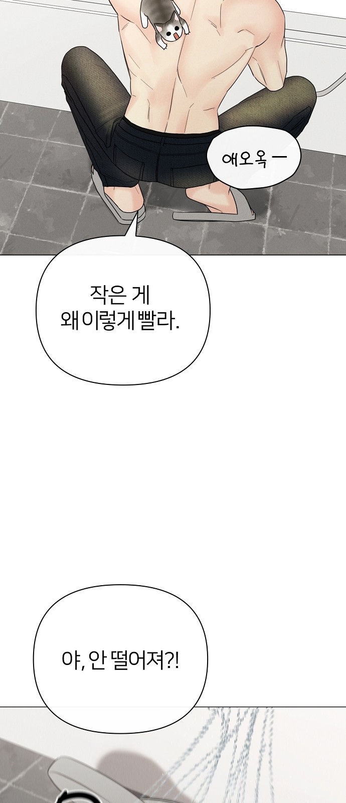 66 페이지