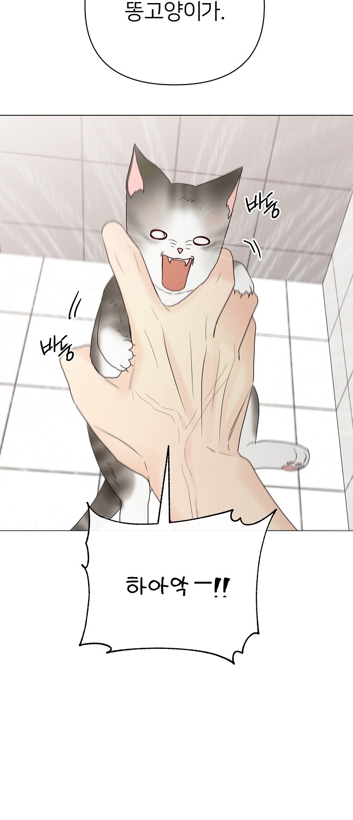 70 페이지