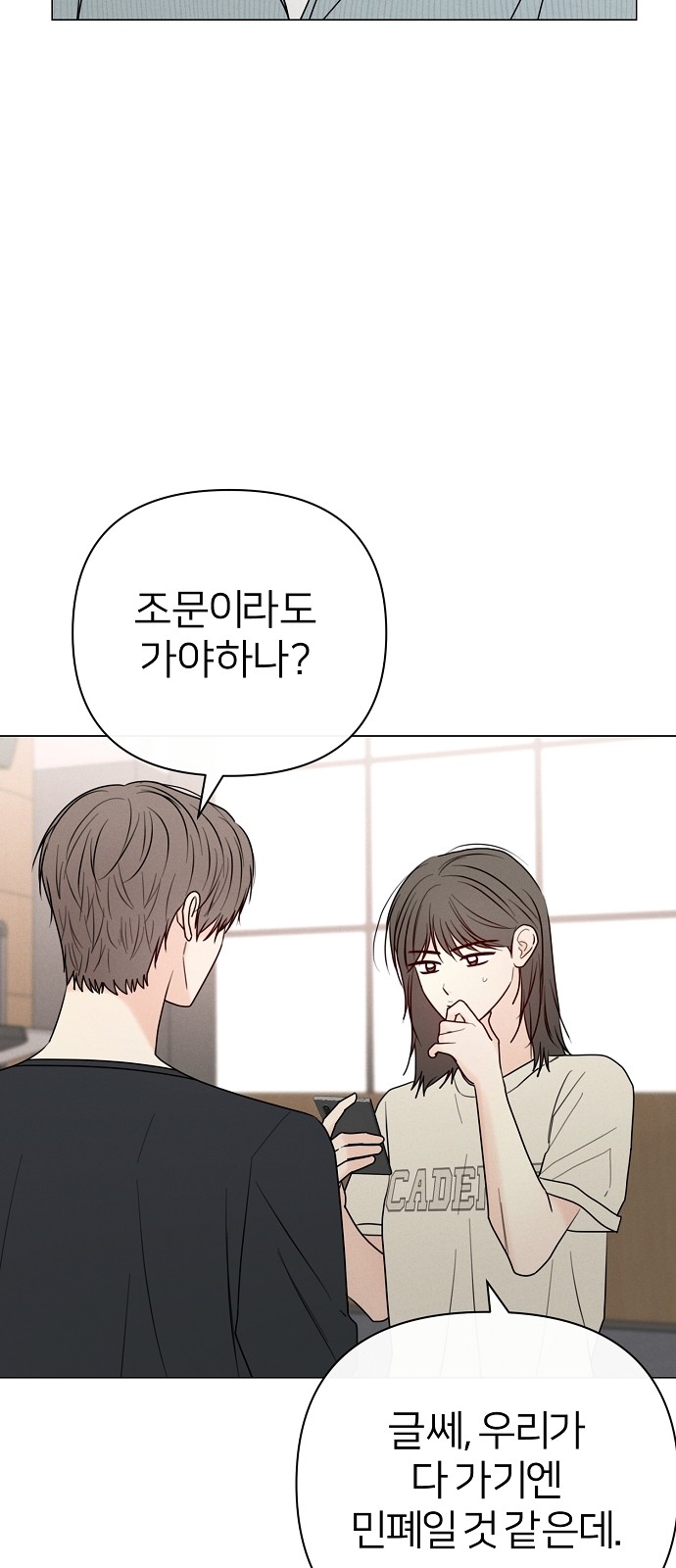 46 페이지