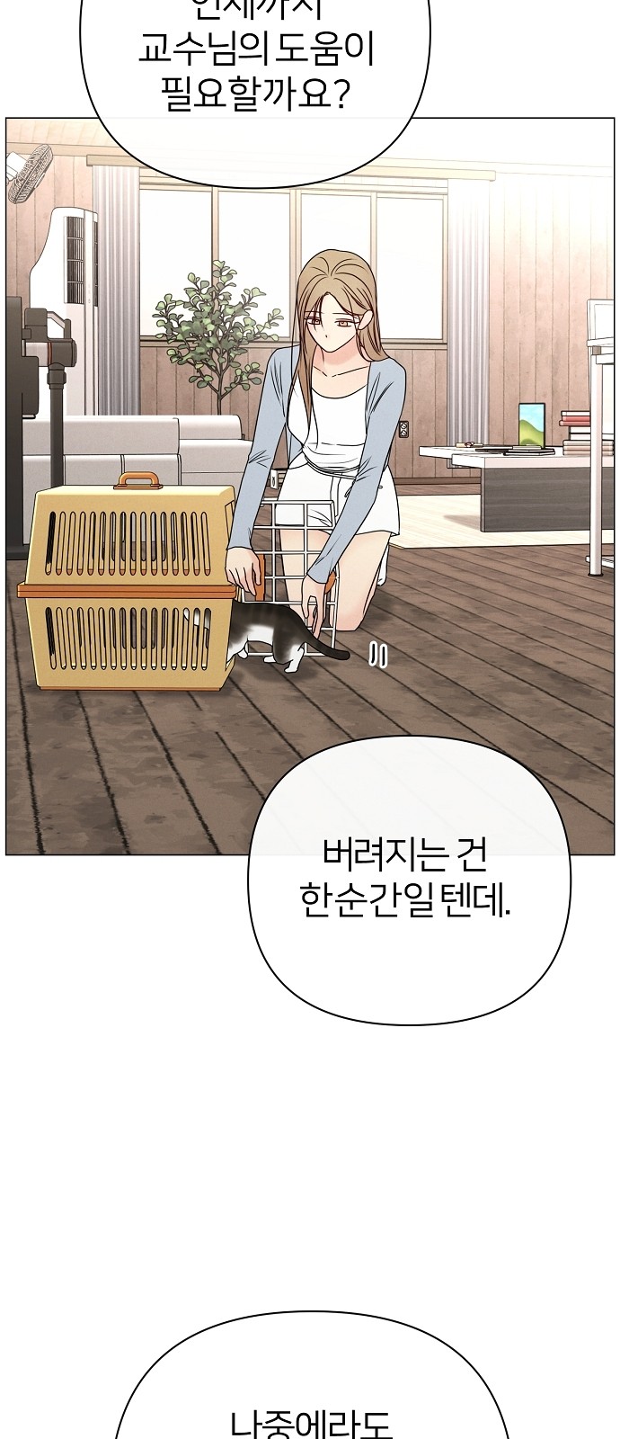48 페이지