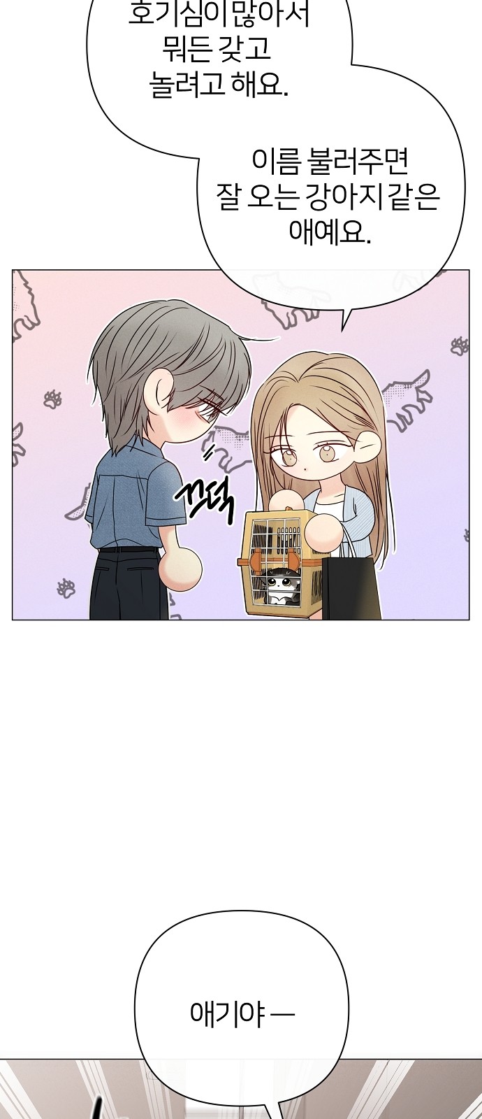 11 페이지