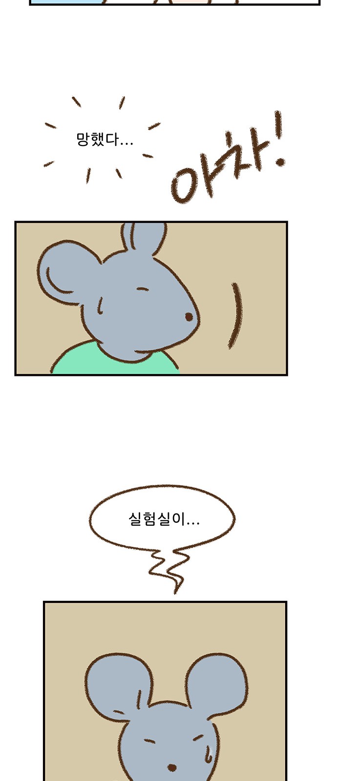 35 페이지