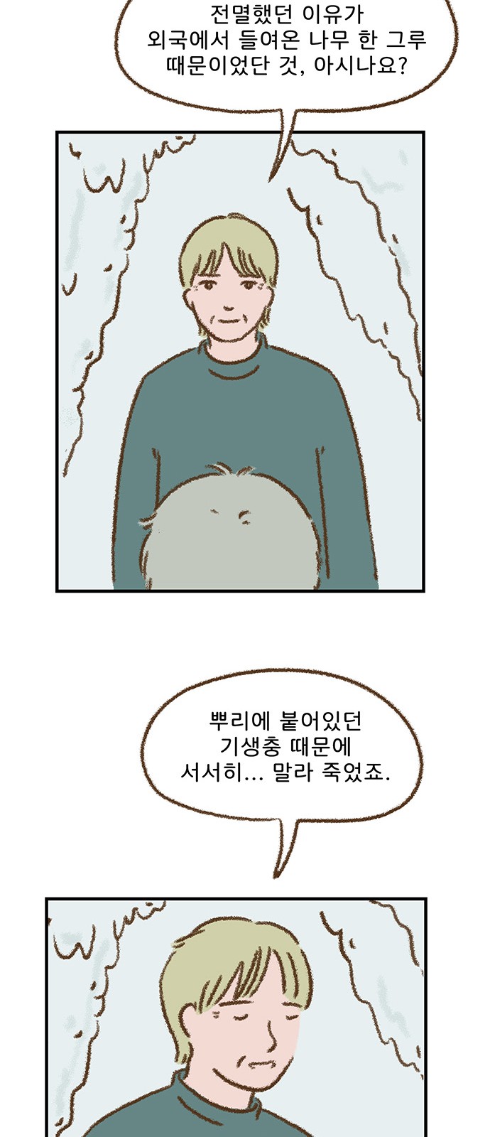 33 페이지