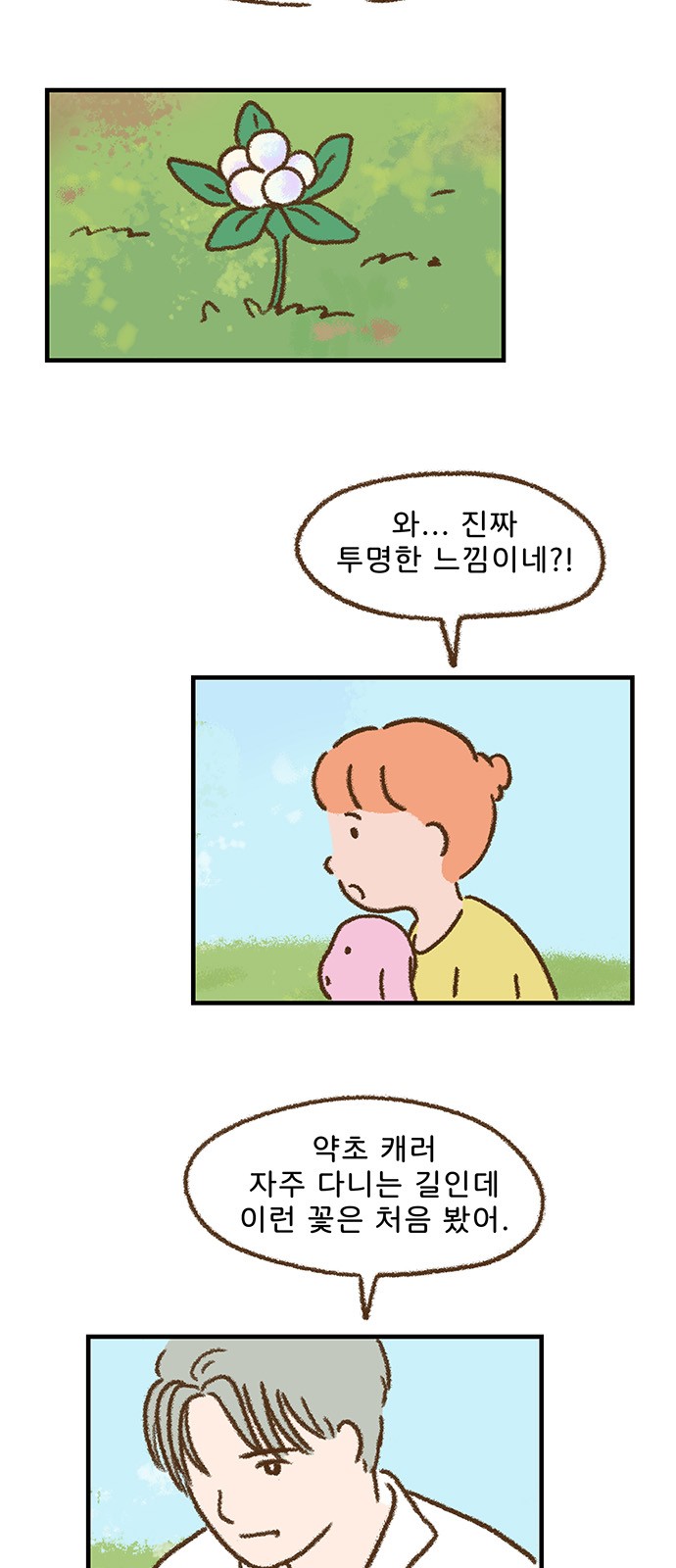 27 페이지
