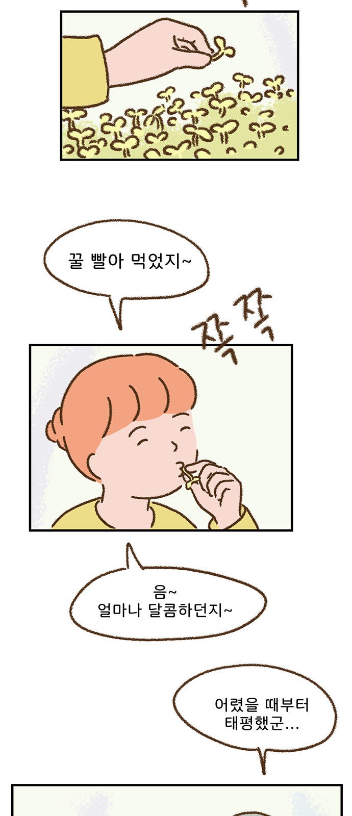 17 페이지