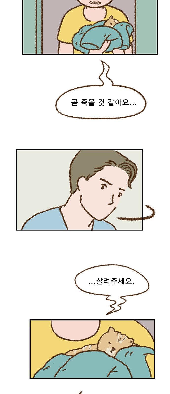 14 페이지