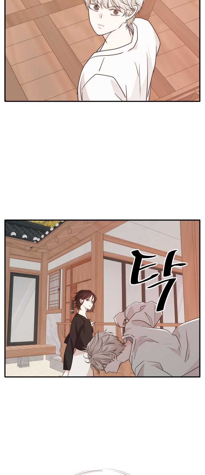 51 페이지