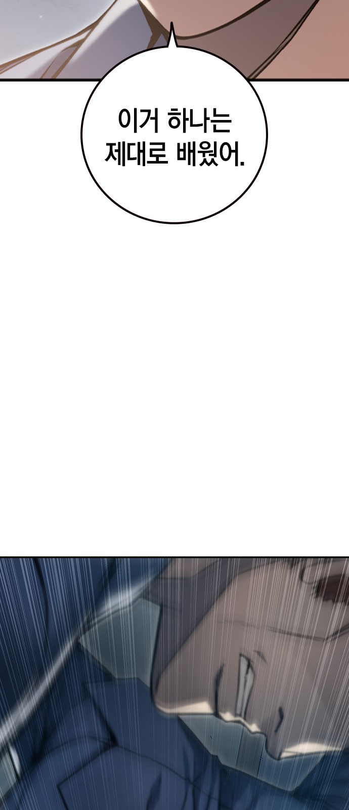 242 페이지