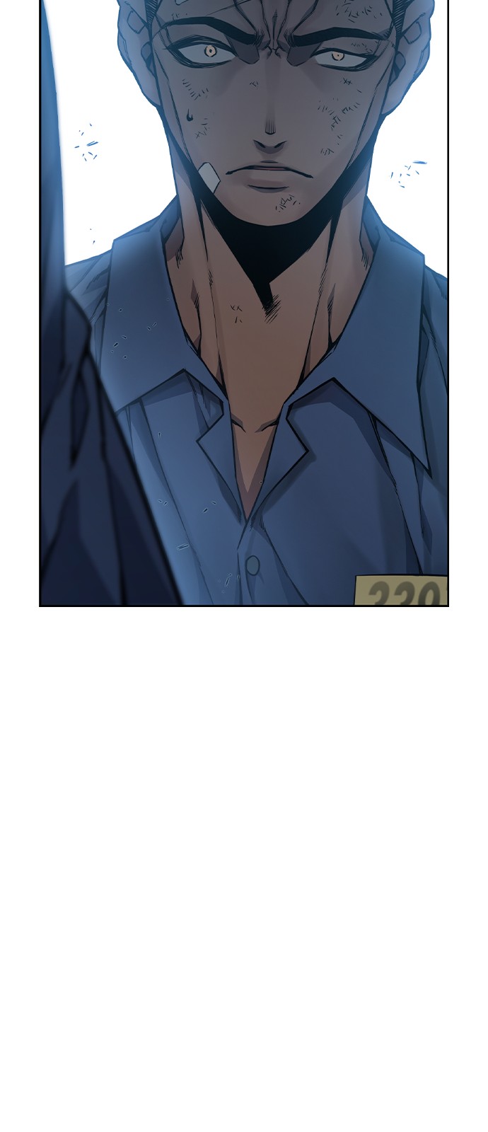 247 페이지