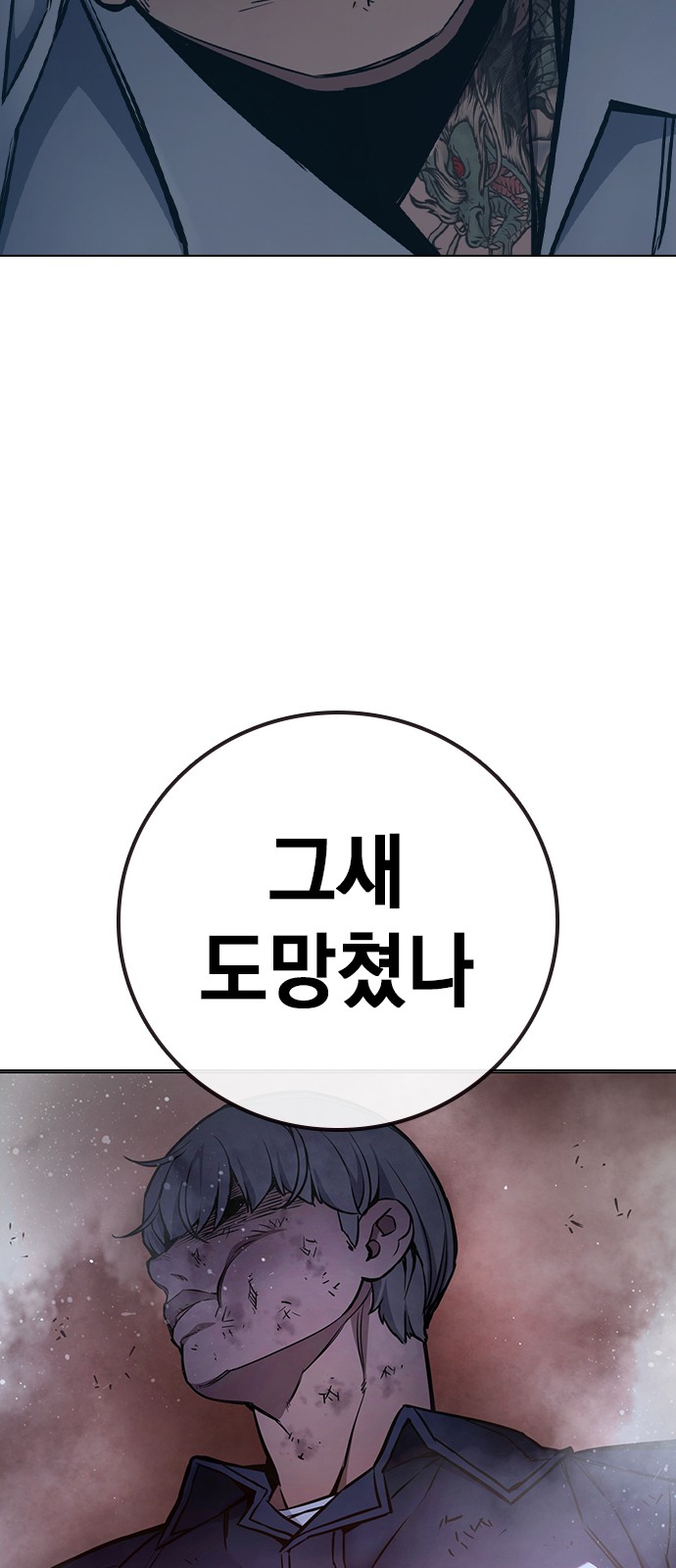 50 페이지