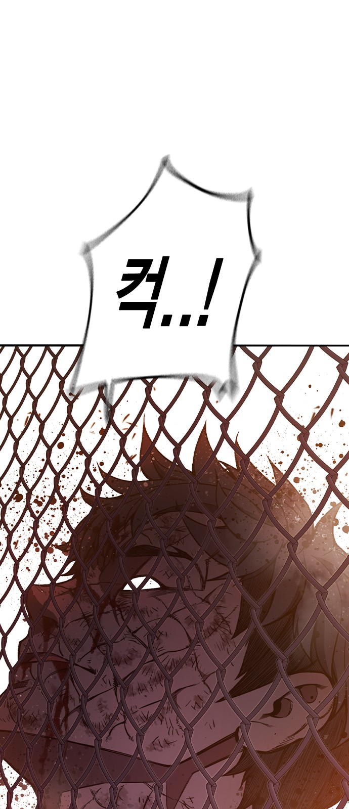 224 페이지