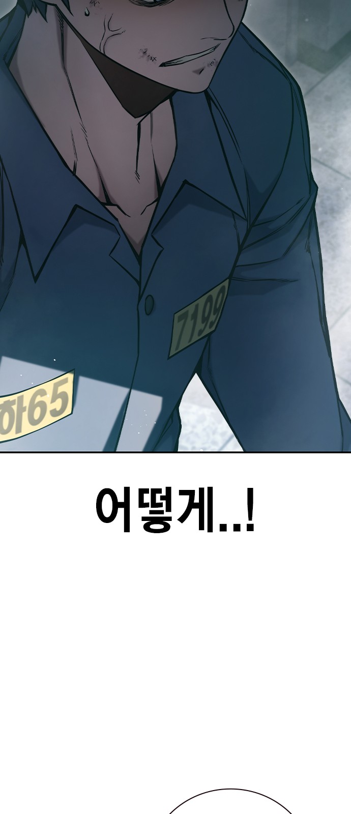 97 페이지