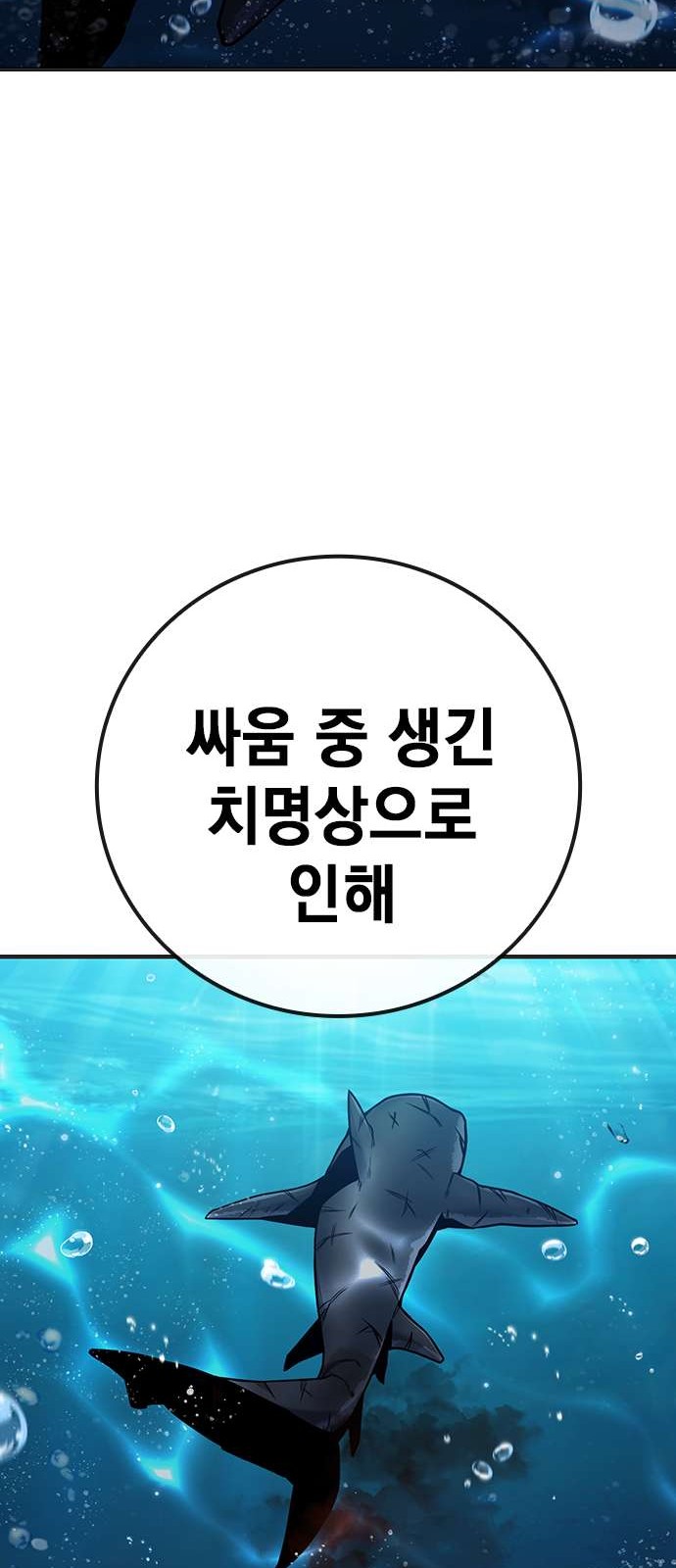 97 페이지