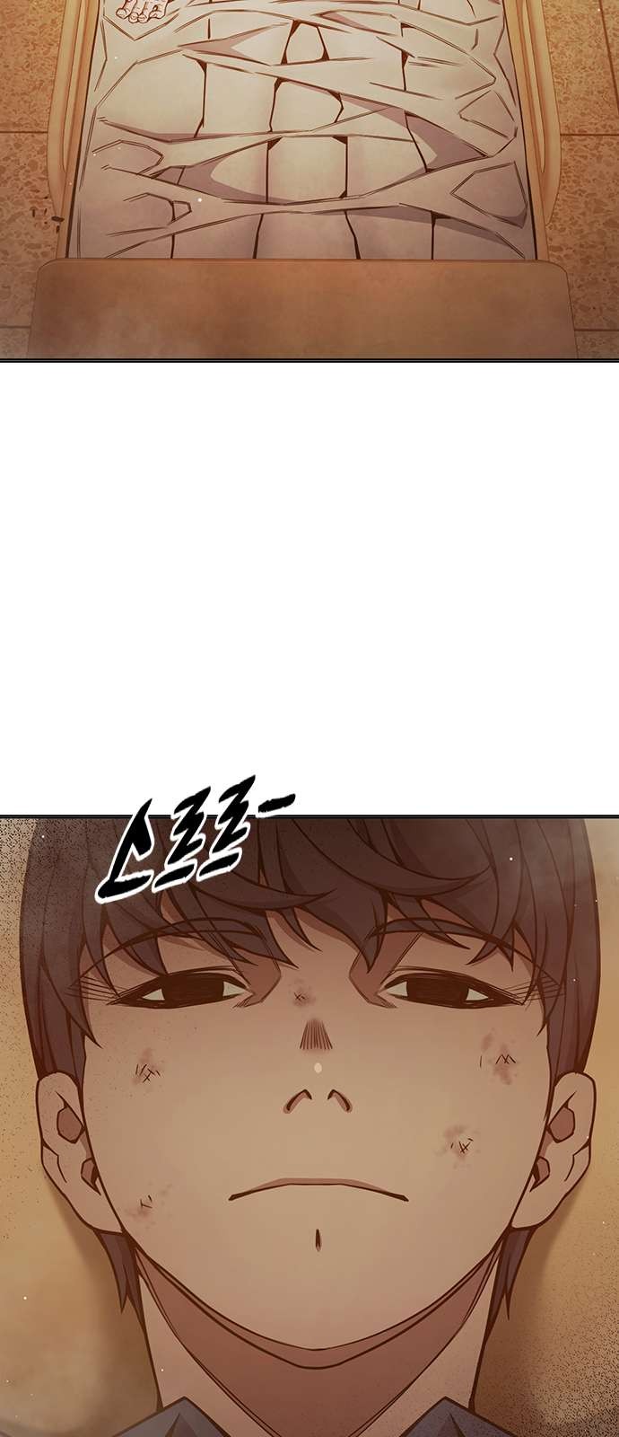 110 페이지