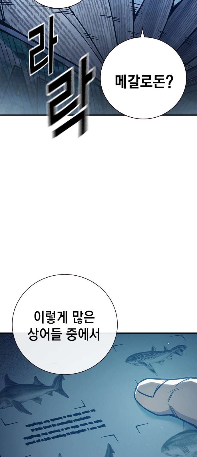 43 페이지