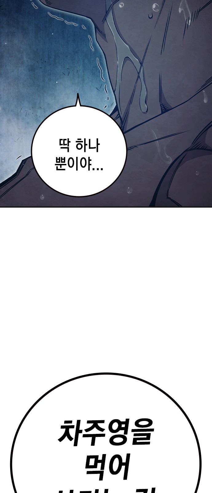 113 페이지