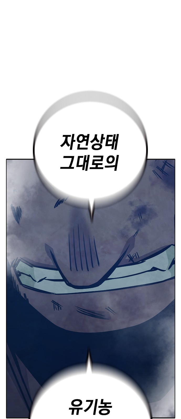 113 페이지