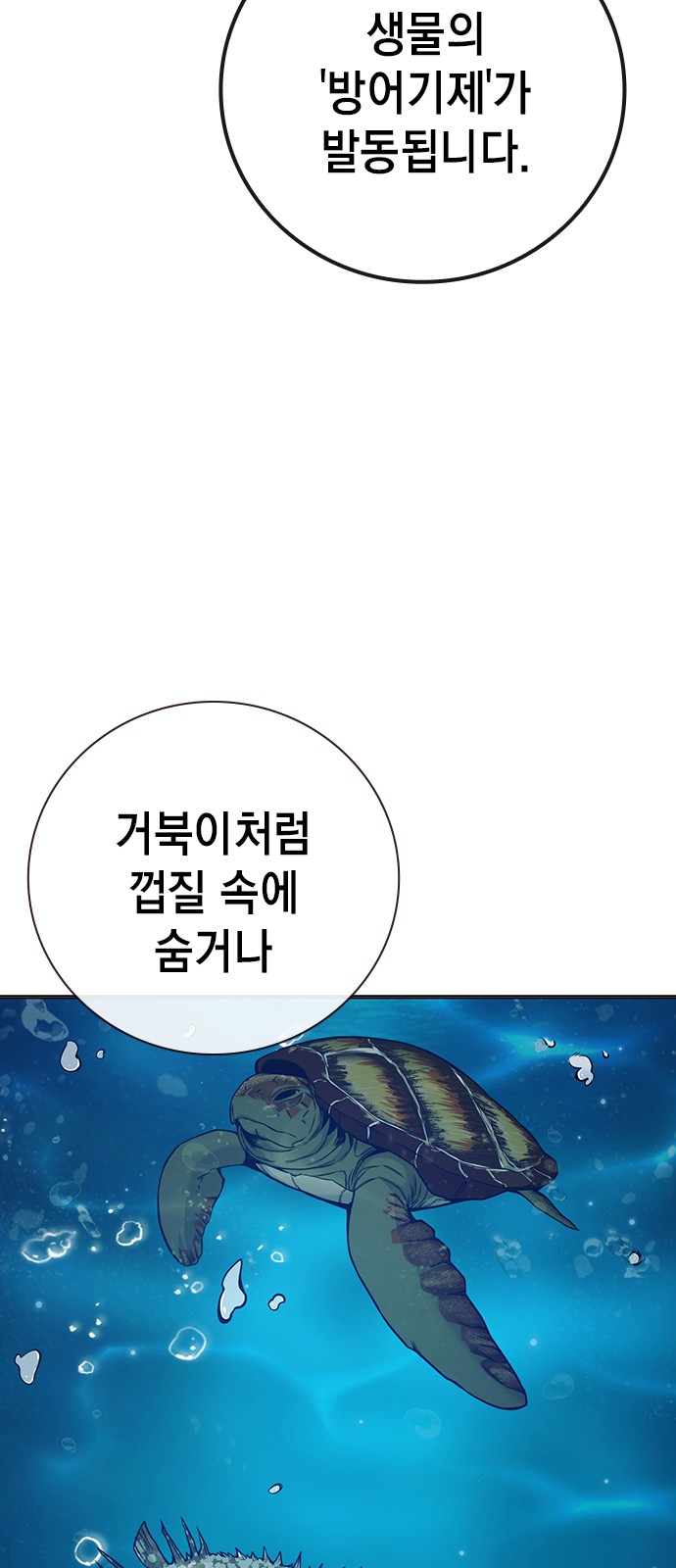 135 페이지
