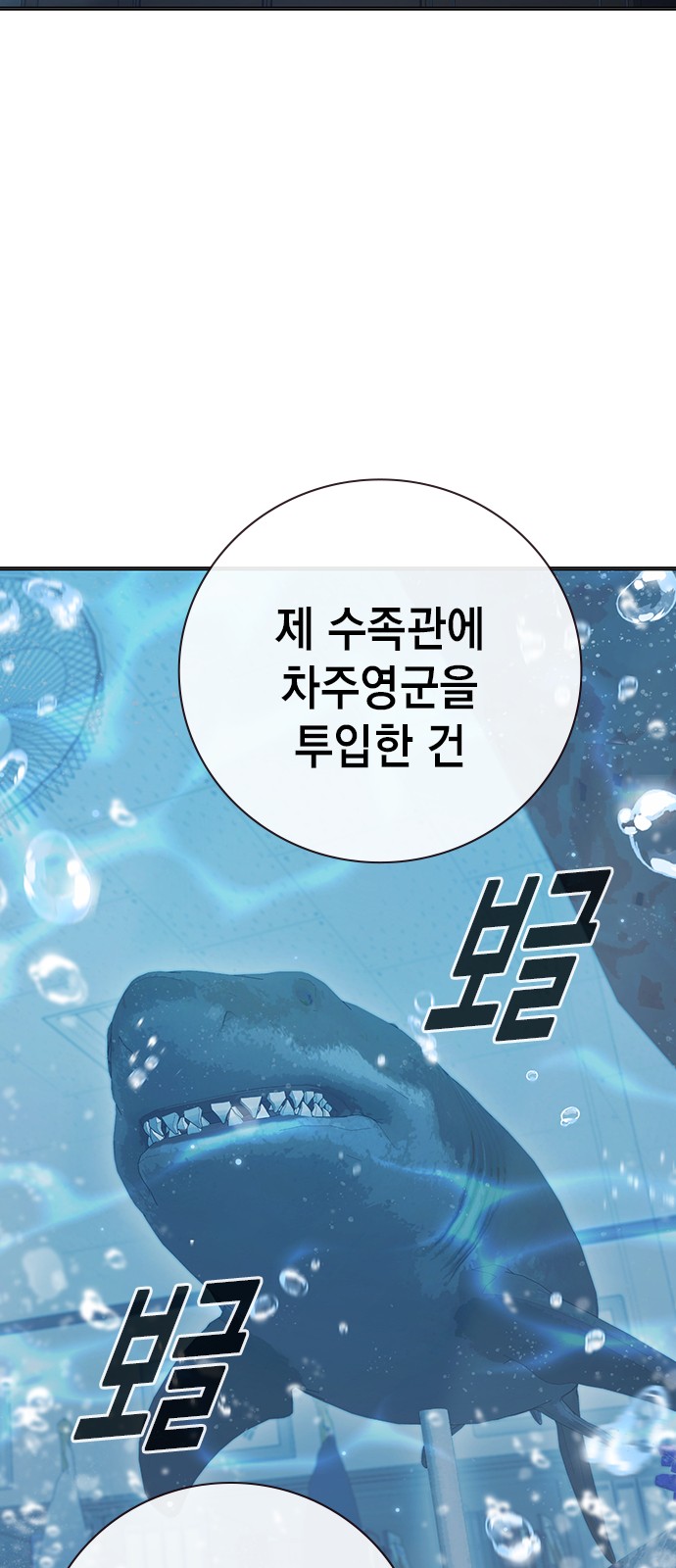 144 페이지