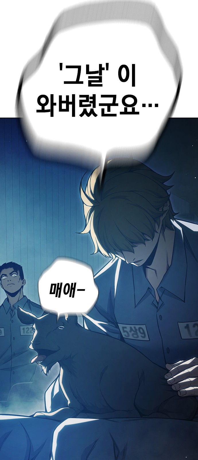 51 페이지