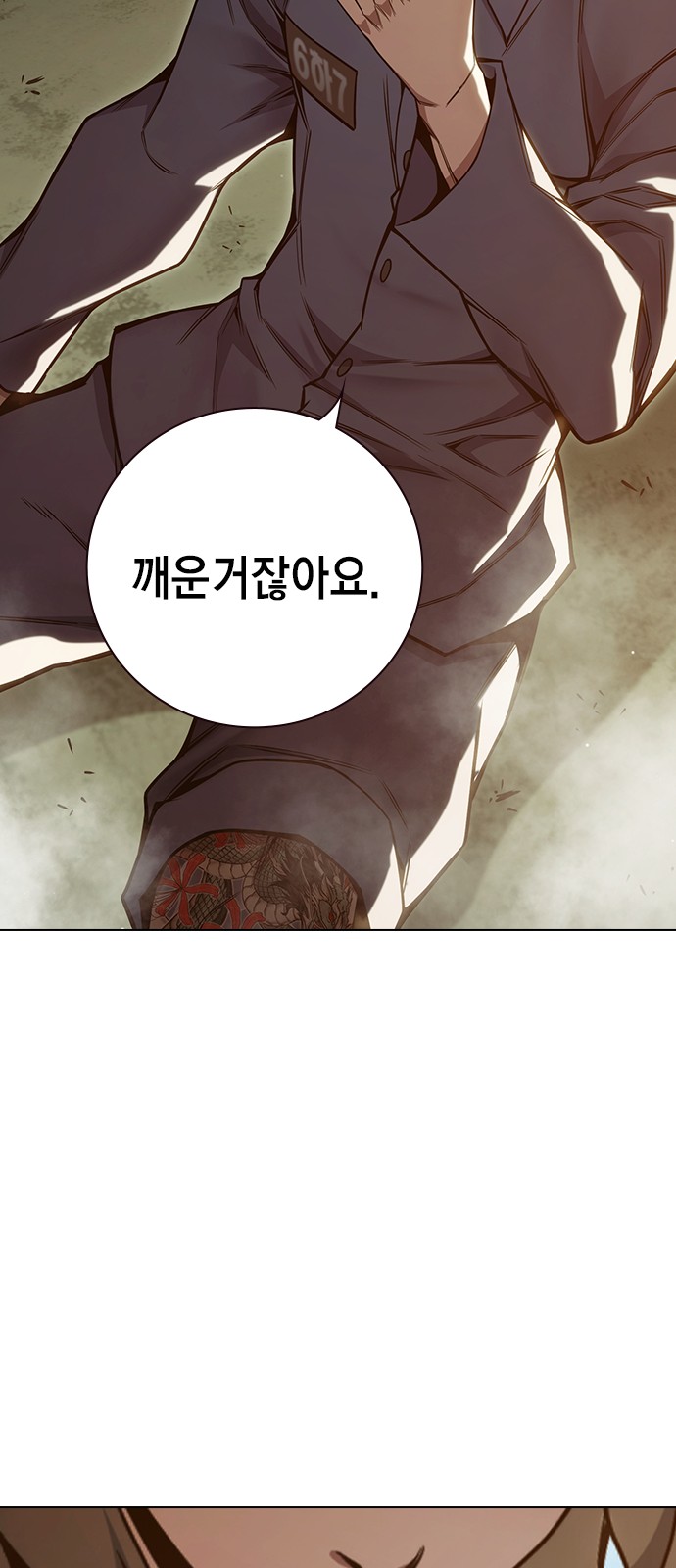 117 페이지