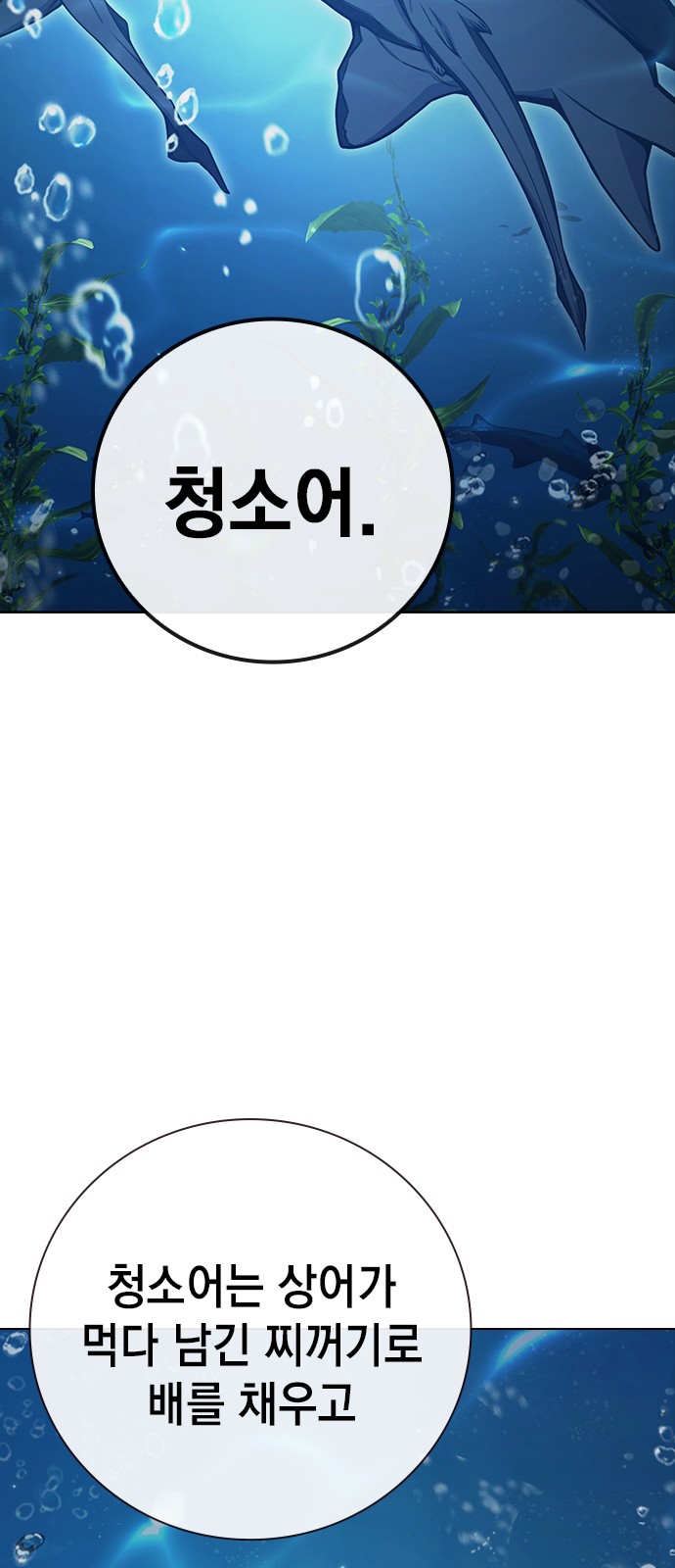 98 페이지