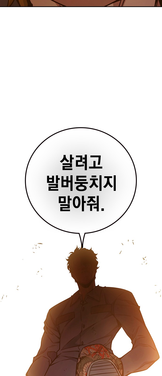 116 페이지
