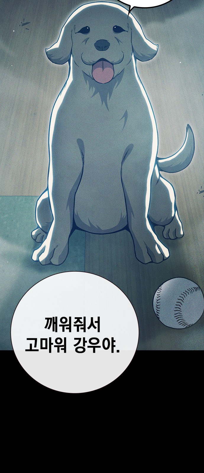 80 페이지