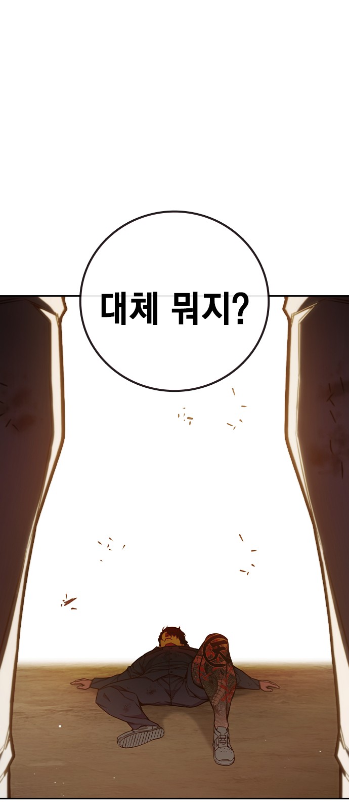 113 페이지