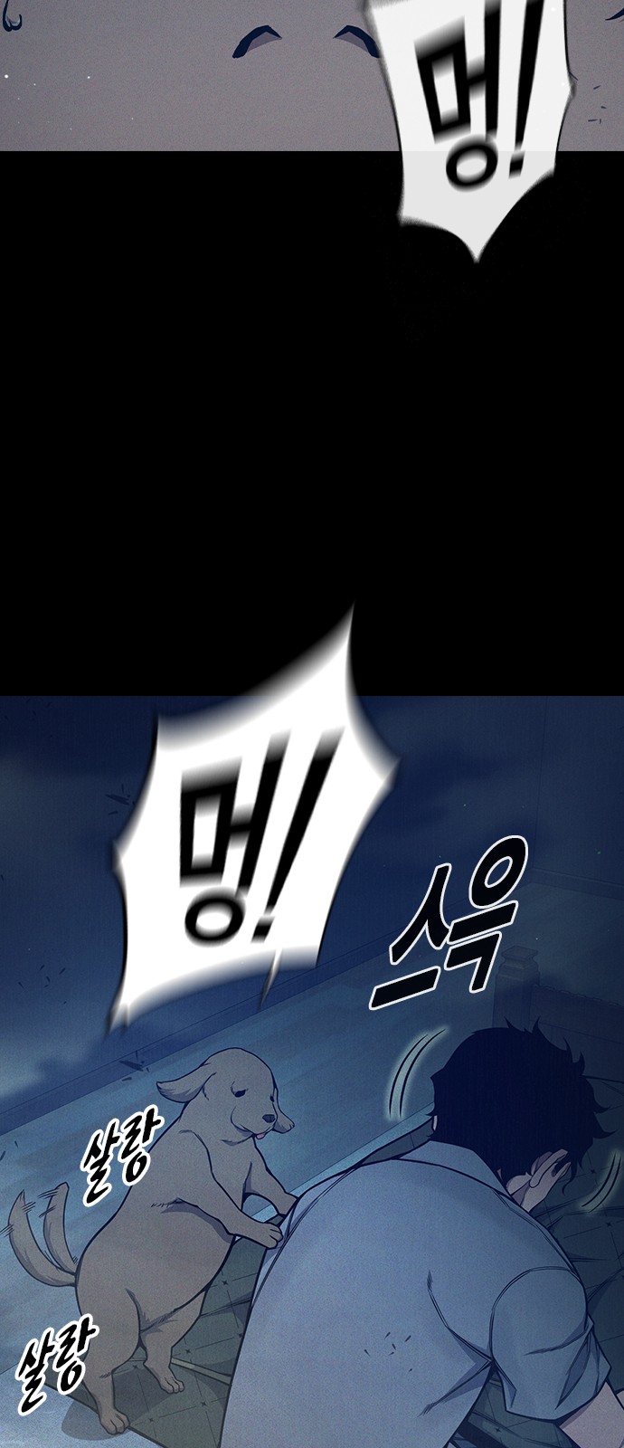 102 페이지