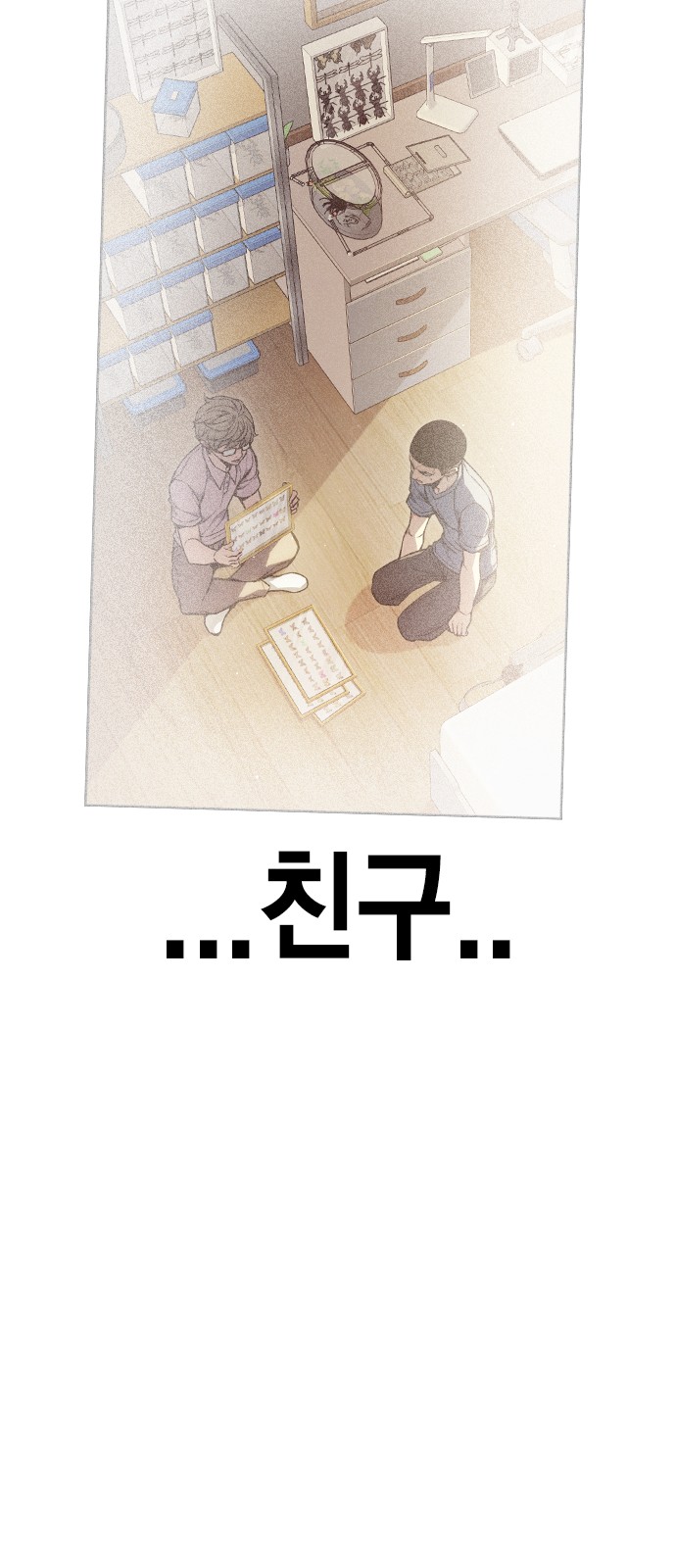 116 페이지