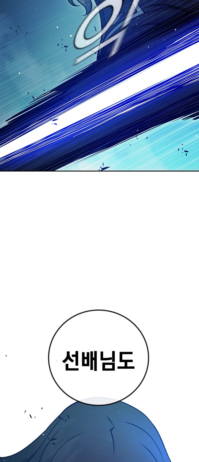 113 페이지