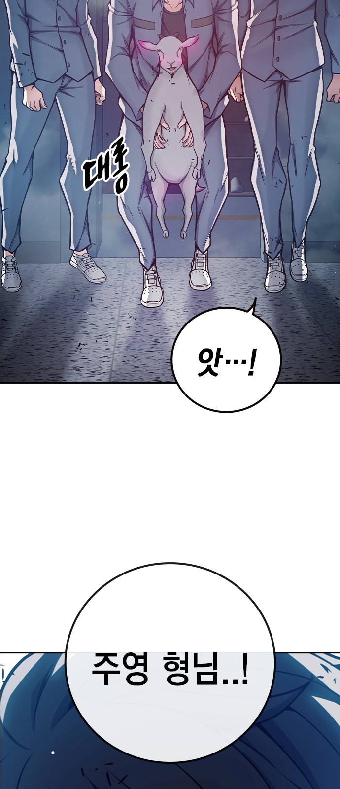 113 페이지