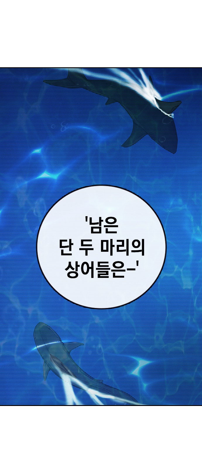 151 페이지