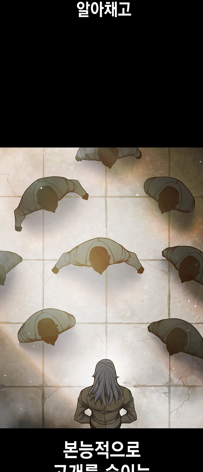 113 페이지