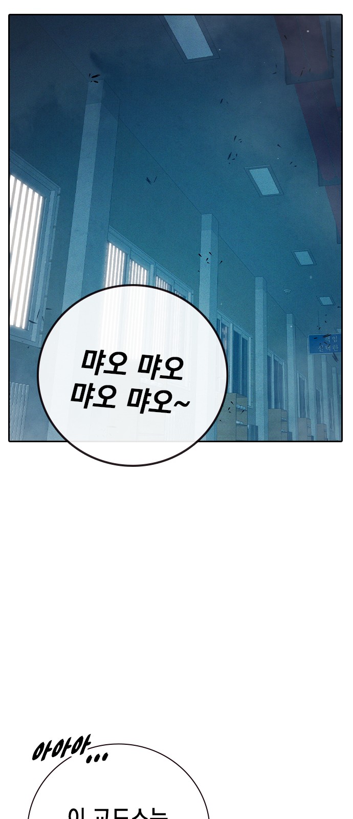 81 페이지