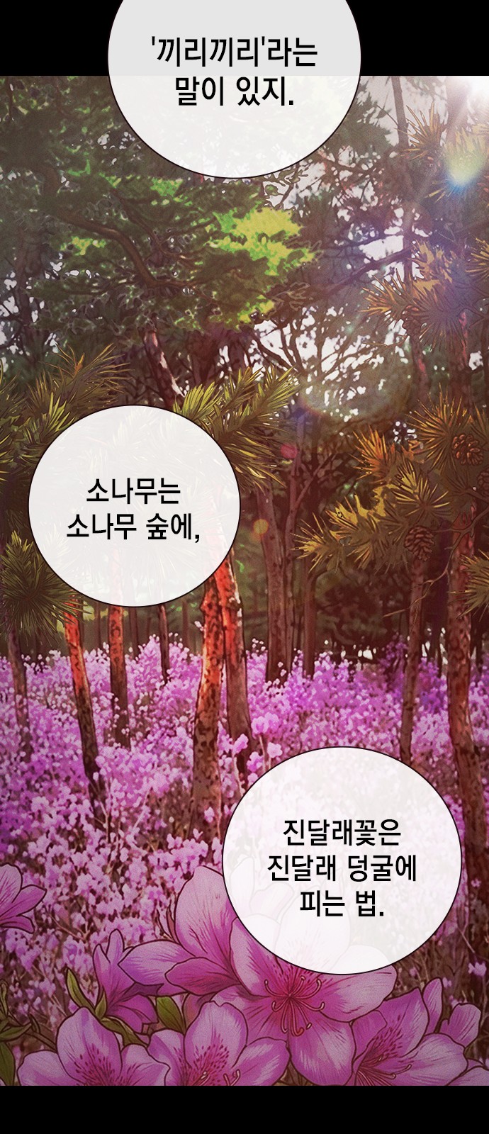 68 페이지
