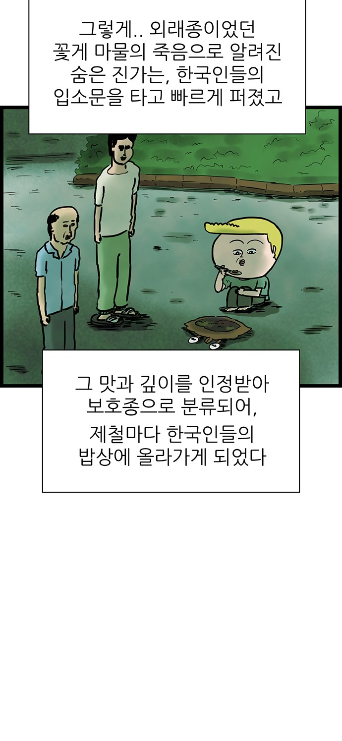 38 페이지
