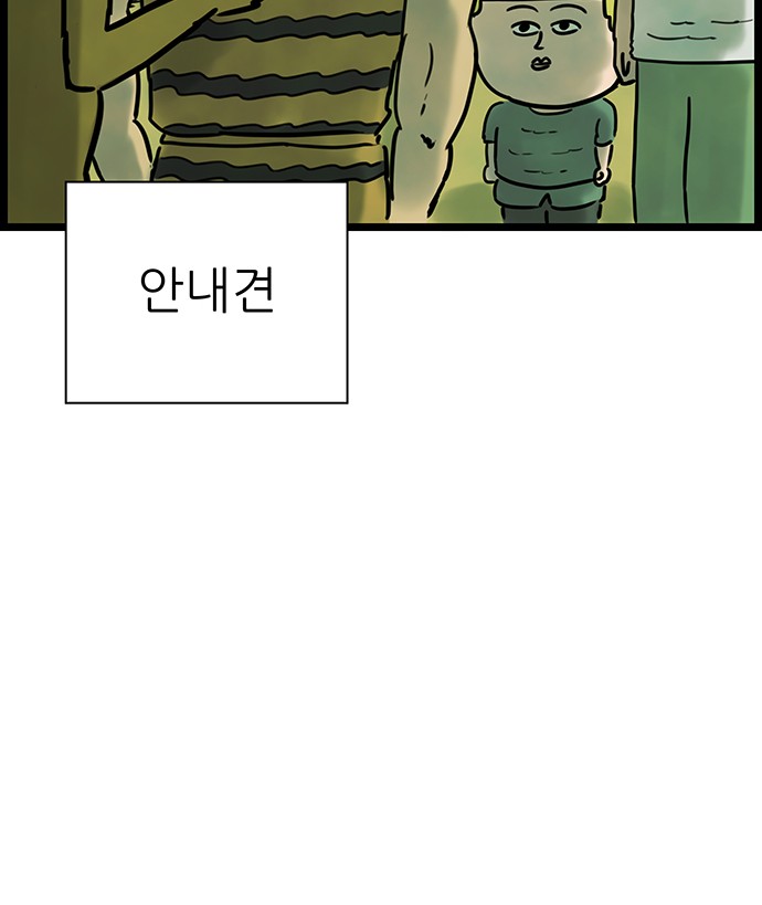 37 페이지
