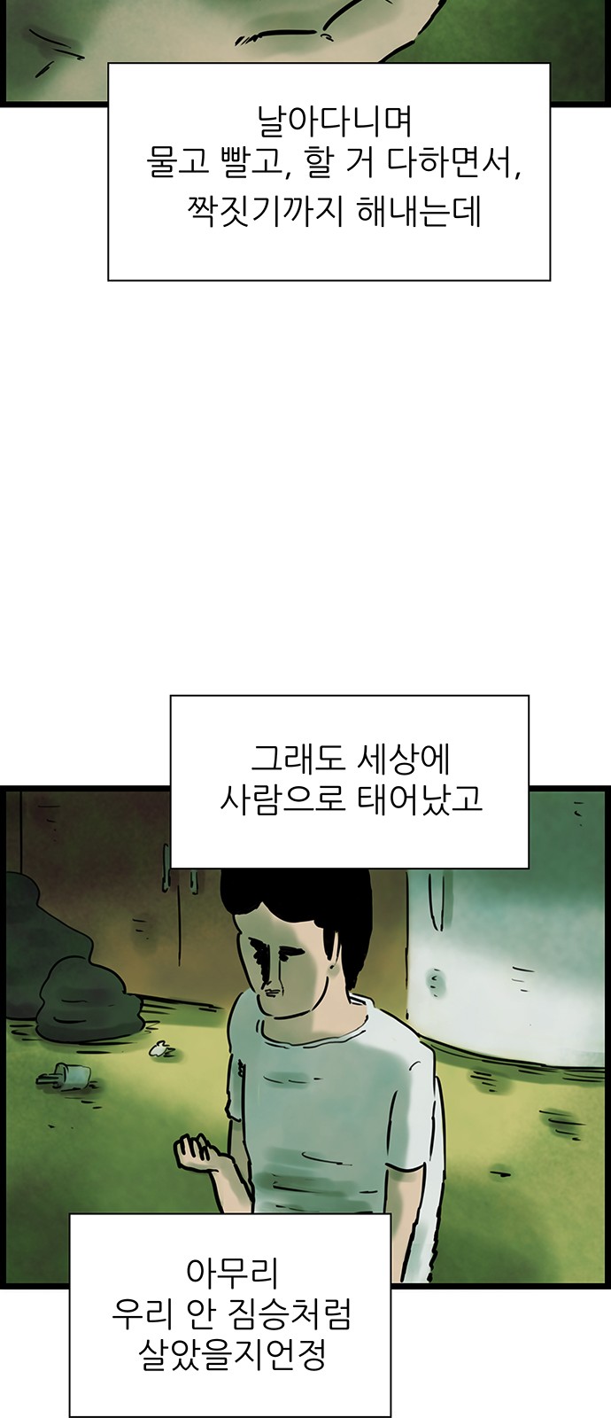 13 페이지