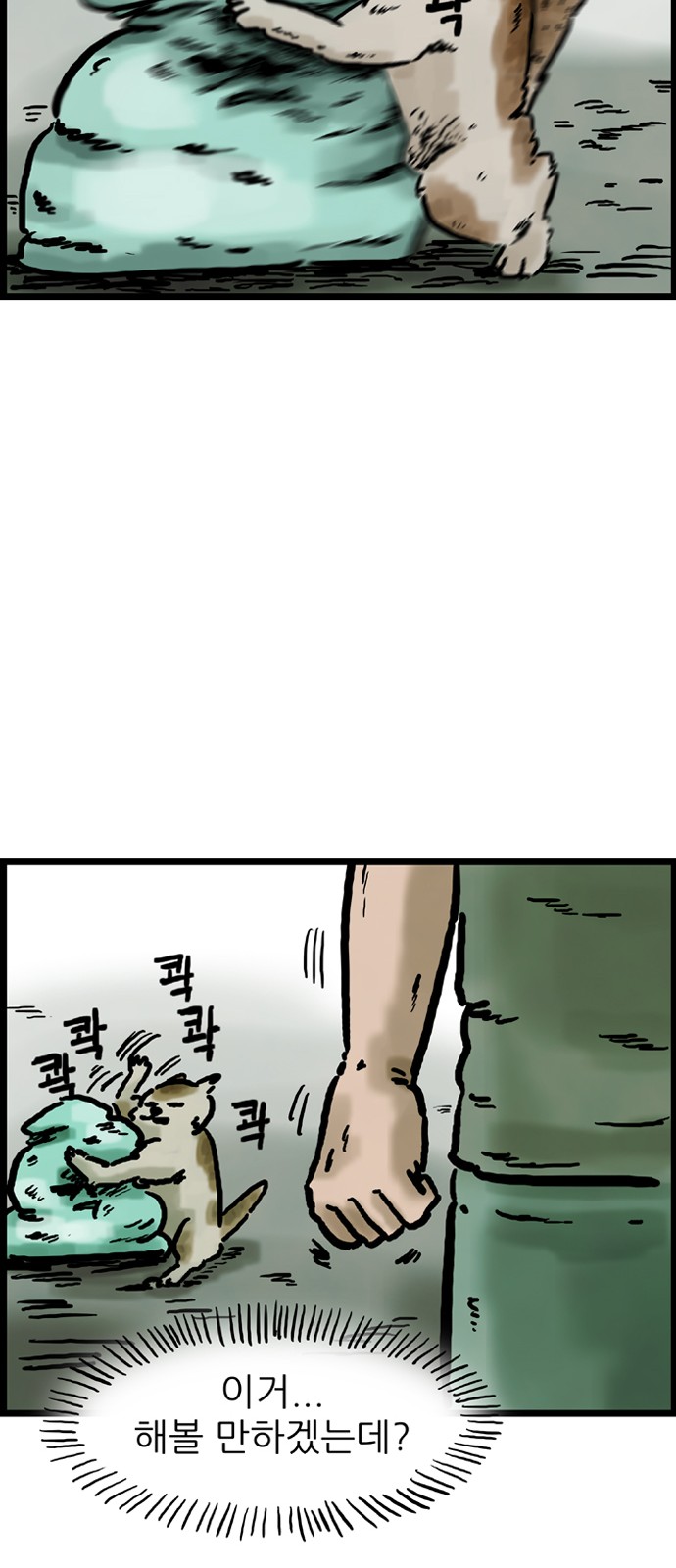 41 페이지