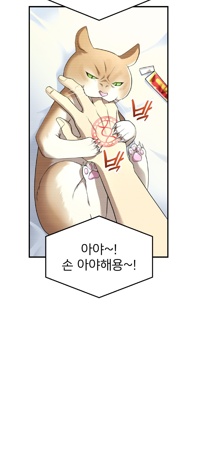 86 페이지